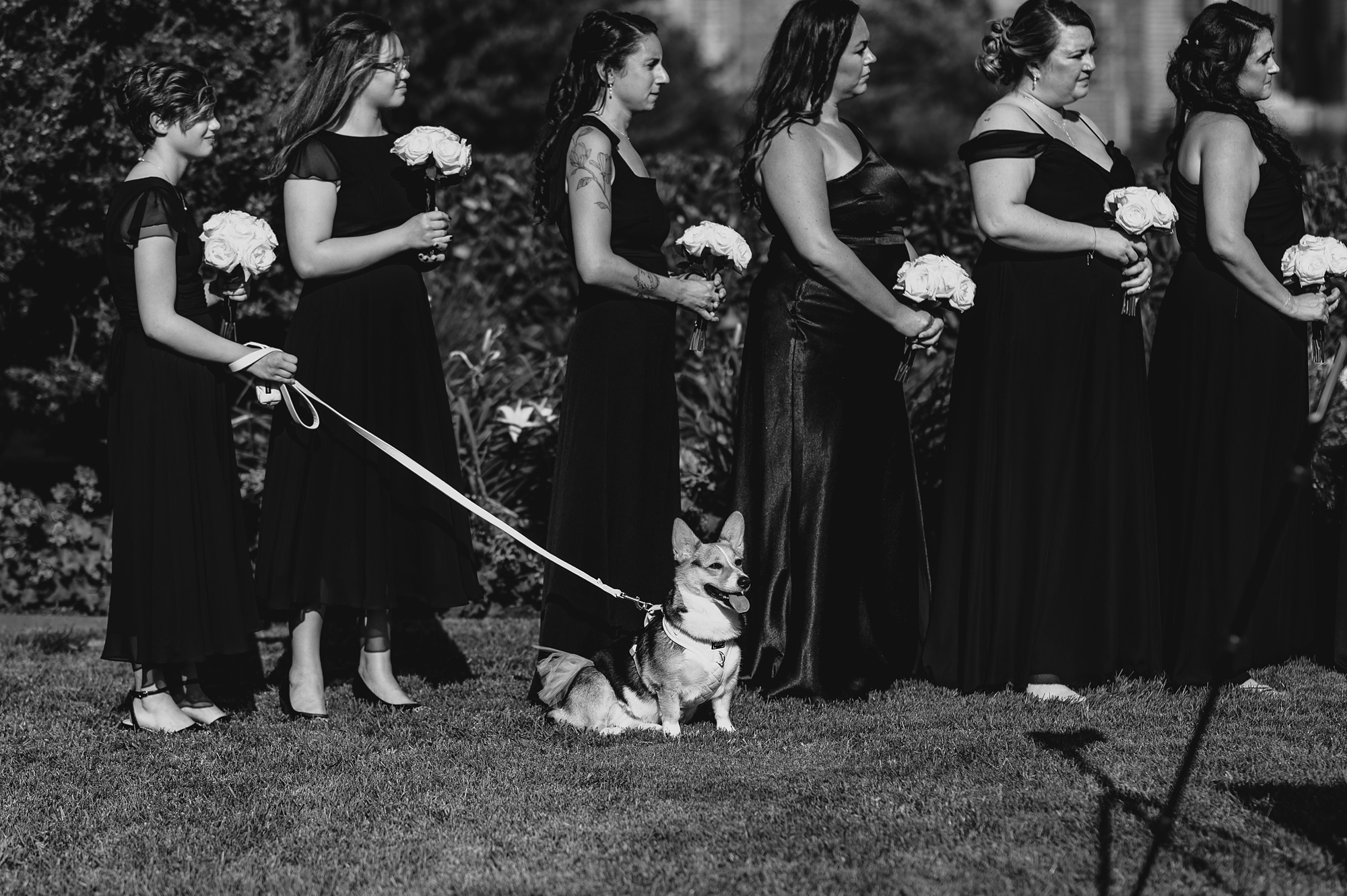 bridesmaid holds dog on leash during wedding ceremony at the Liberty House