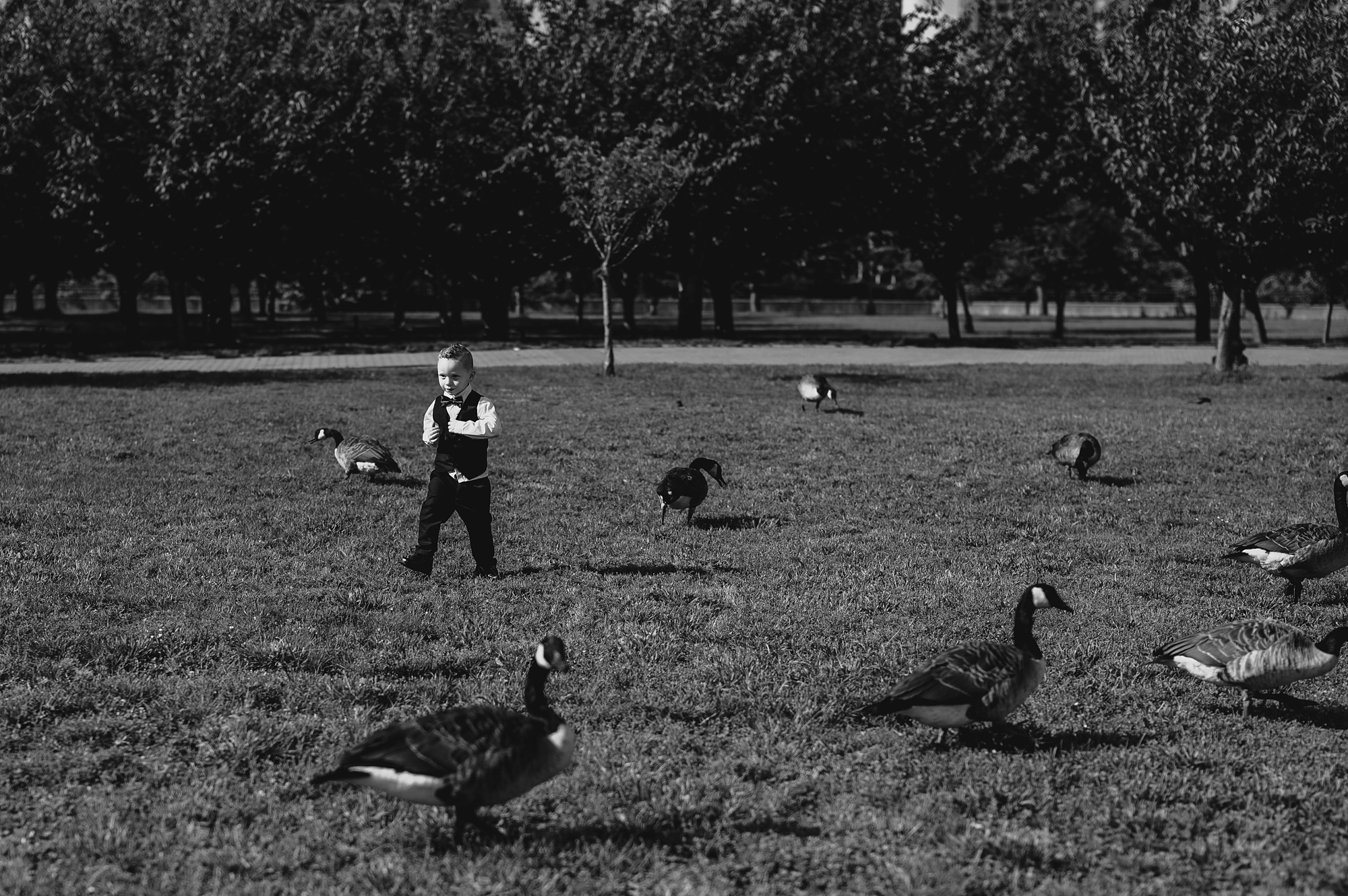 toddler runs around with geese on lawn at the Liberty House