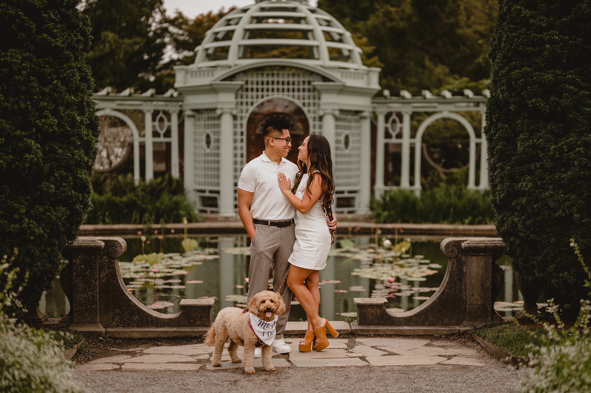 engaged couple poses in front of blue metal gazebo with dog