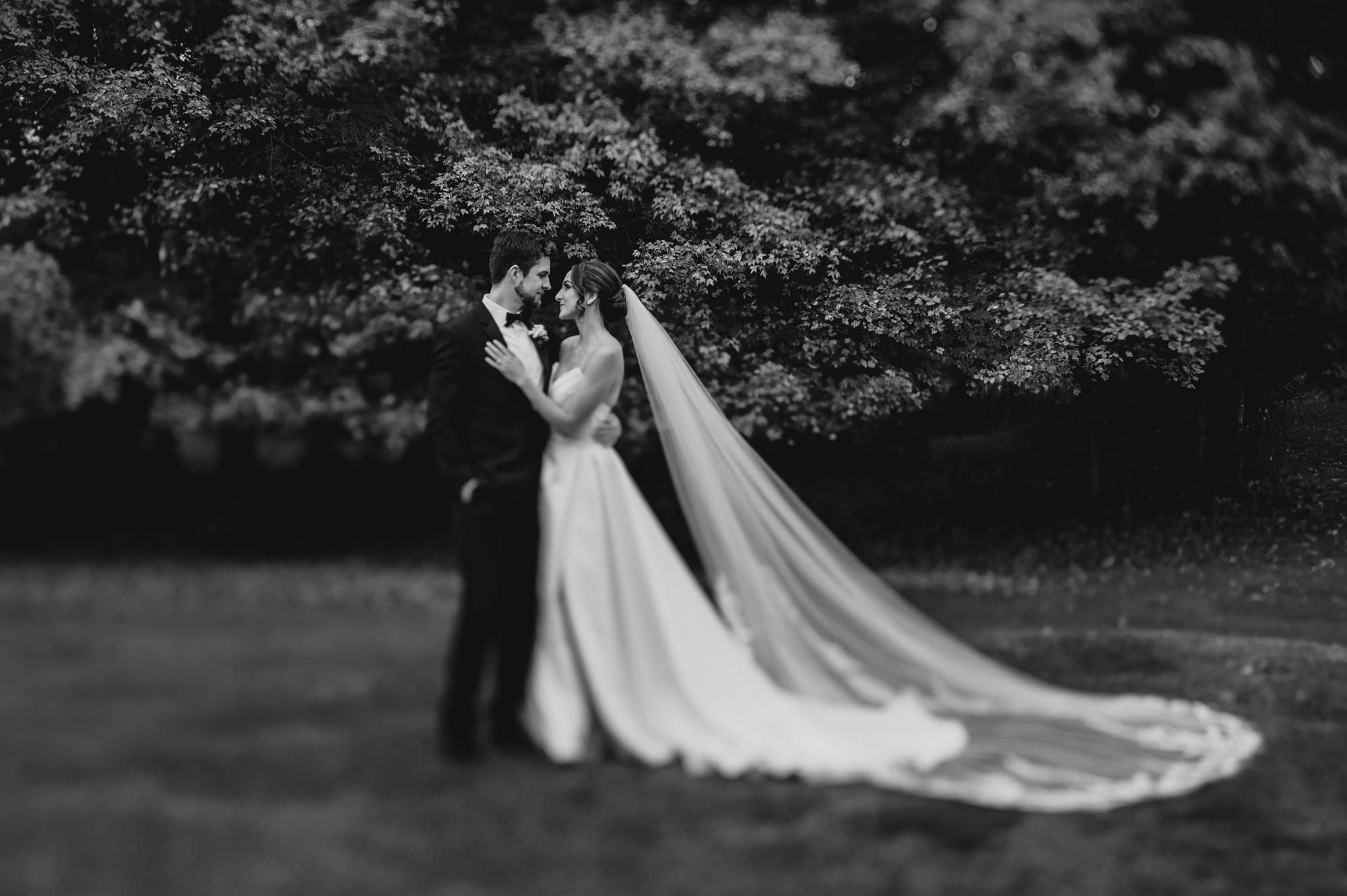 bride and groom hug on lawn with bride's veil behind them 