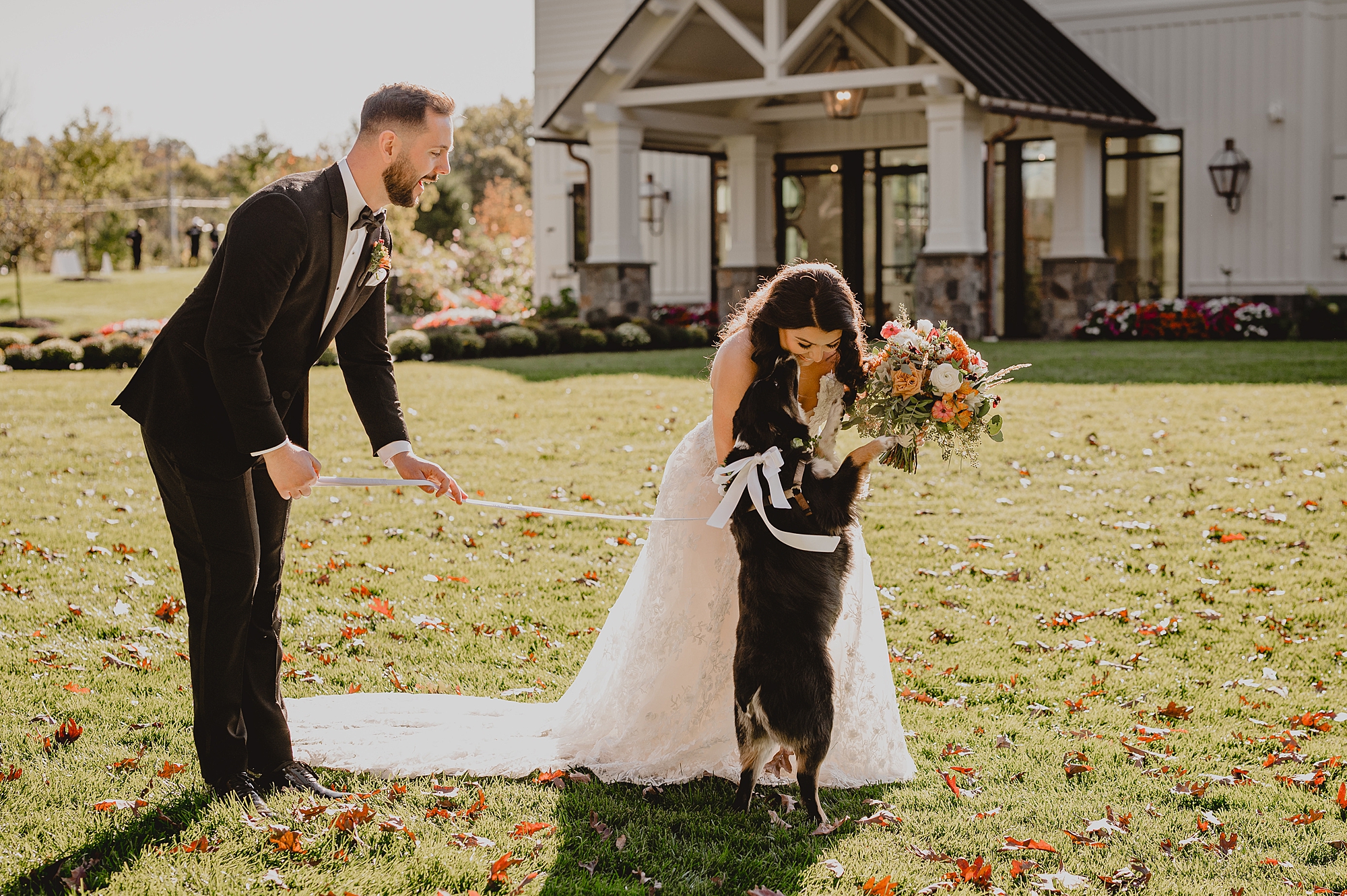 bride and groom pet dog on wedding day on hill outside Crossed Keys Estate