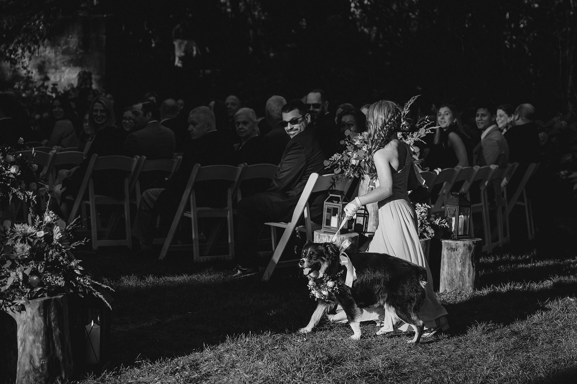 wedding guests sit on chairs at Crossed Keys Estate