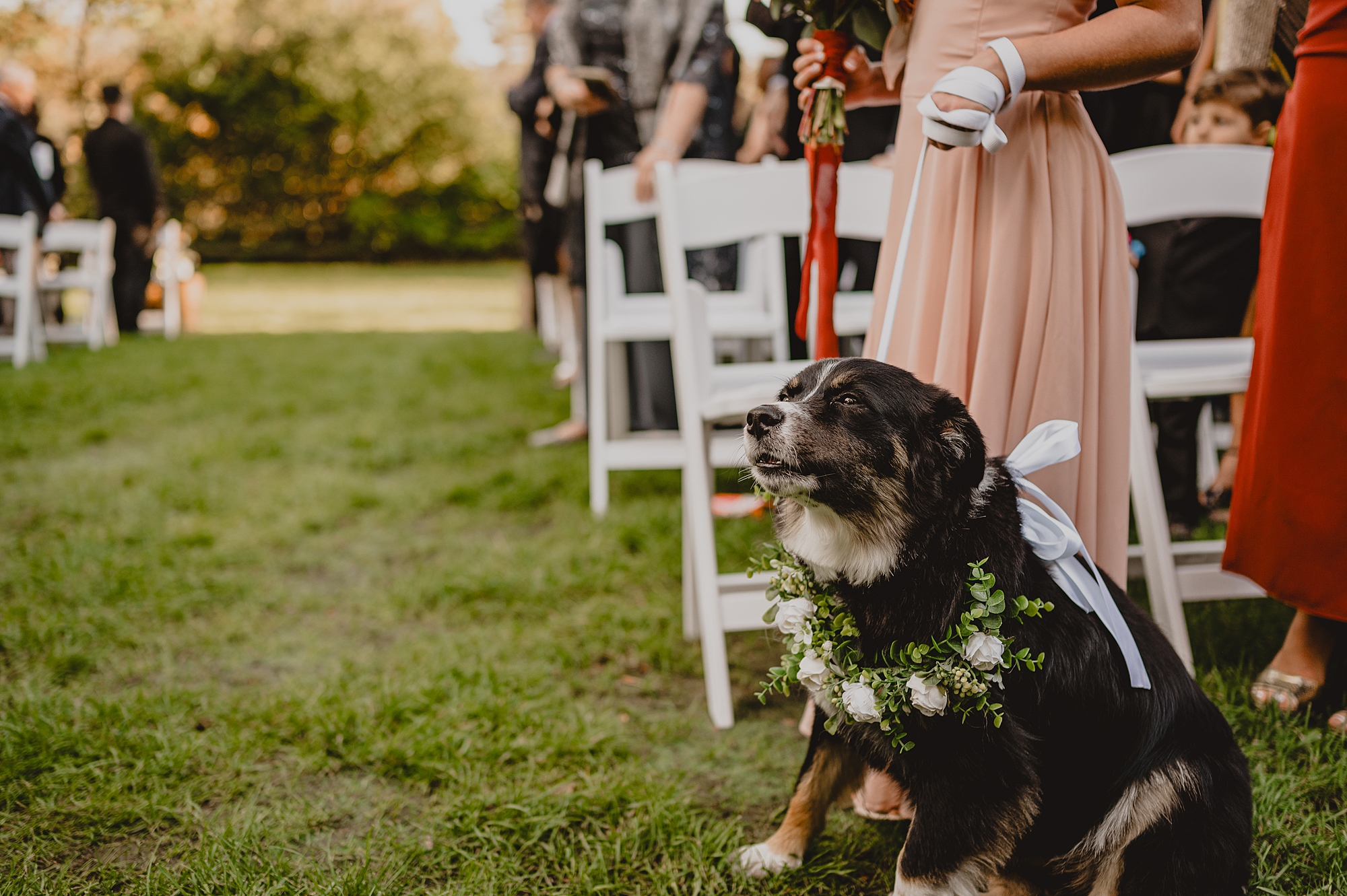 bridesmaid holds dog in flower collar for ceremony