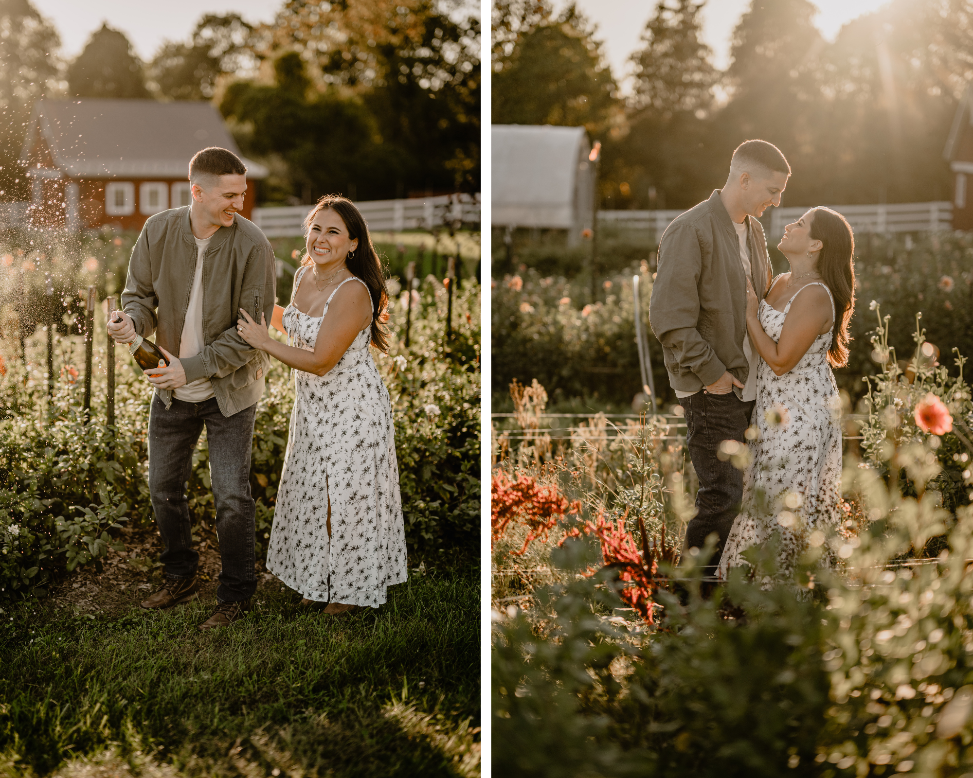 Jennifer and Anthony sharing a sweet moment in the flower fields during their engagement at Blue Bird Alpaca Farm.