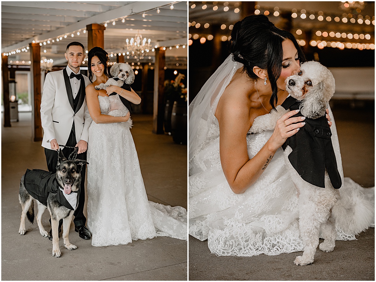 Couple's stunning portraits with their beloved dog during their winter Hamilton Manor wedding.